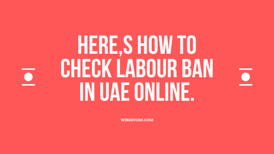 Close-up of a computer screen displaying the UAE Ministry of Human Resources and Emiratisation online portal interface for checking labour