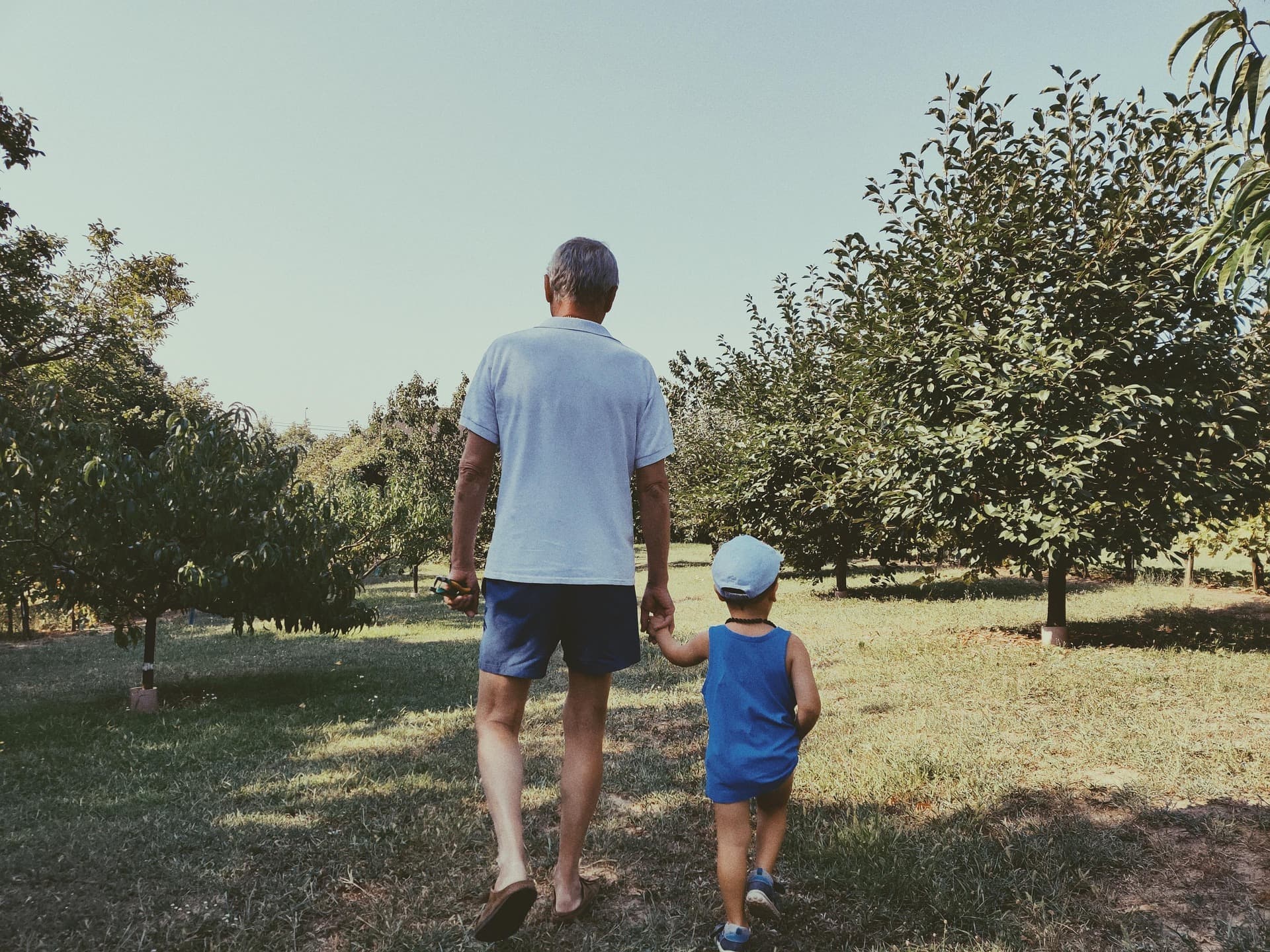 UAE Inheritance Law 2026: What Expats Without a Will Need to Know