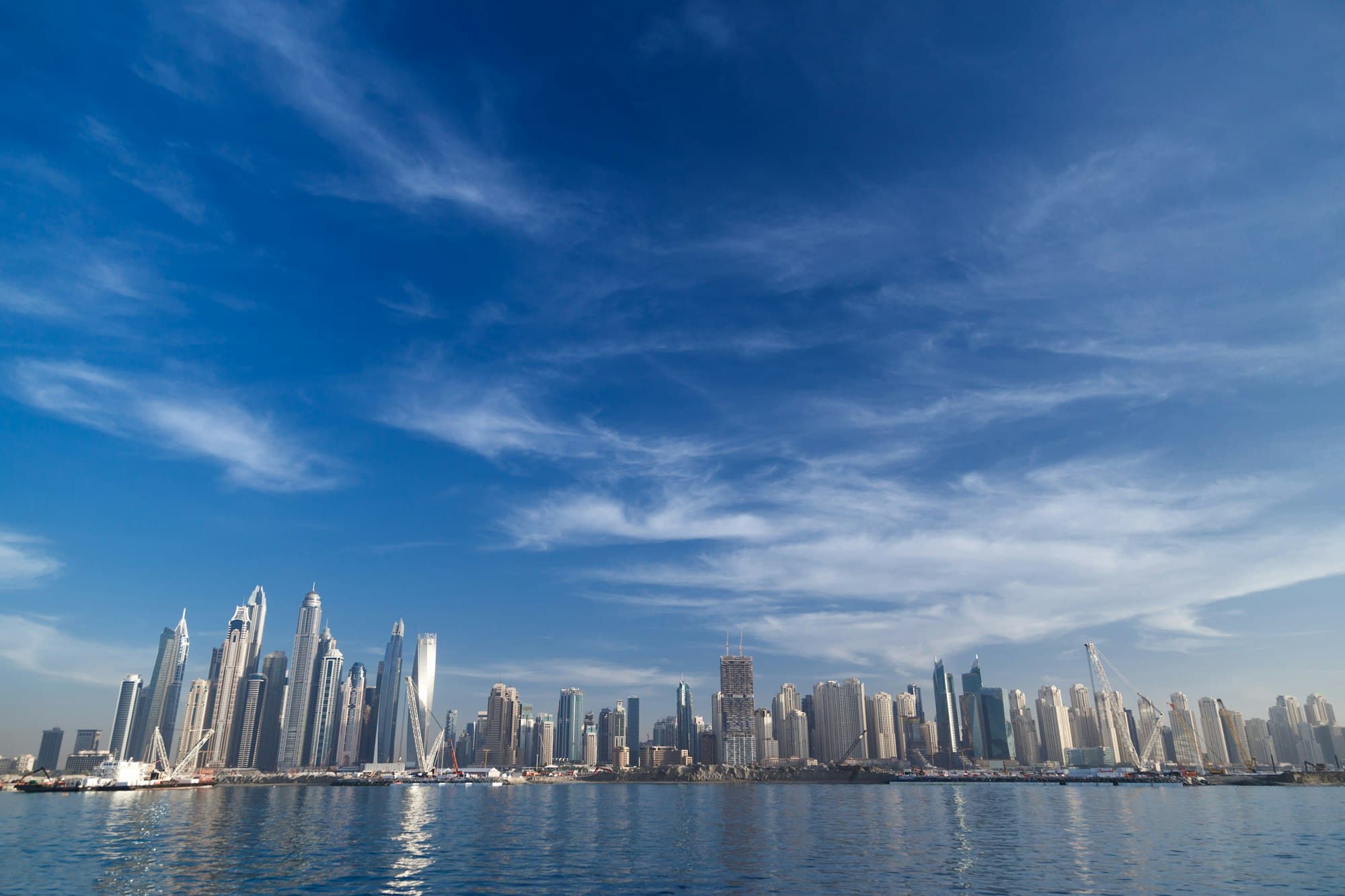 Official UAE residency visa document with blue accents on a desk alongside environmental conservation imagery